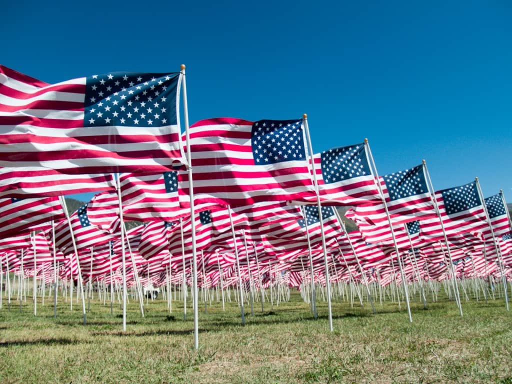 Veterans Day, Honoring Veterans, Armed forces, American Flags